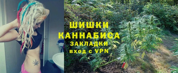 сатива Баксан