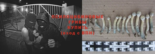 амф Пересвет